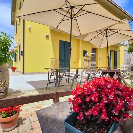 La Casa Del Vino - B&B Tollo ภายนอก รูปภาพ