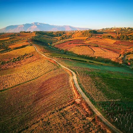 La Casa Del Vino - B&B Tollo ภายนอก รูปภาพ