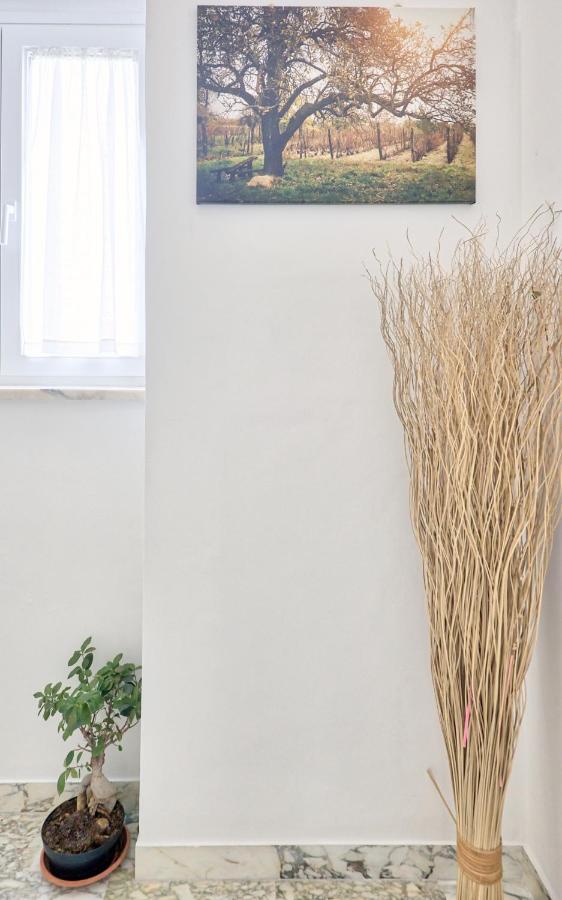 La Casa Del Vino - B&B Tollo ภายนอก รูปภาพ