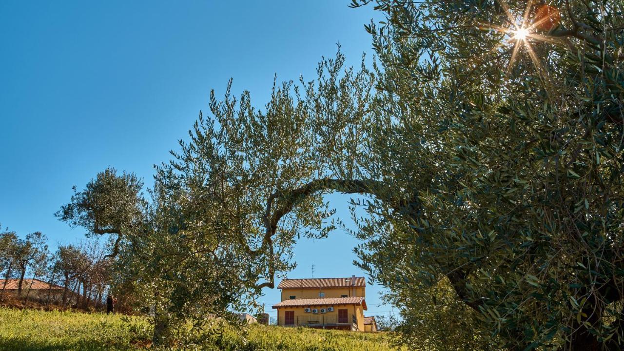 La Casa Del Vino - B&B Tollo ภายนอก รูปภาพ