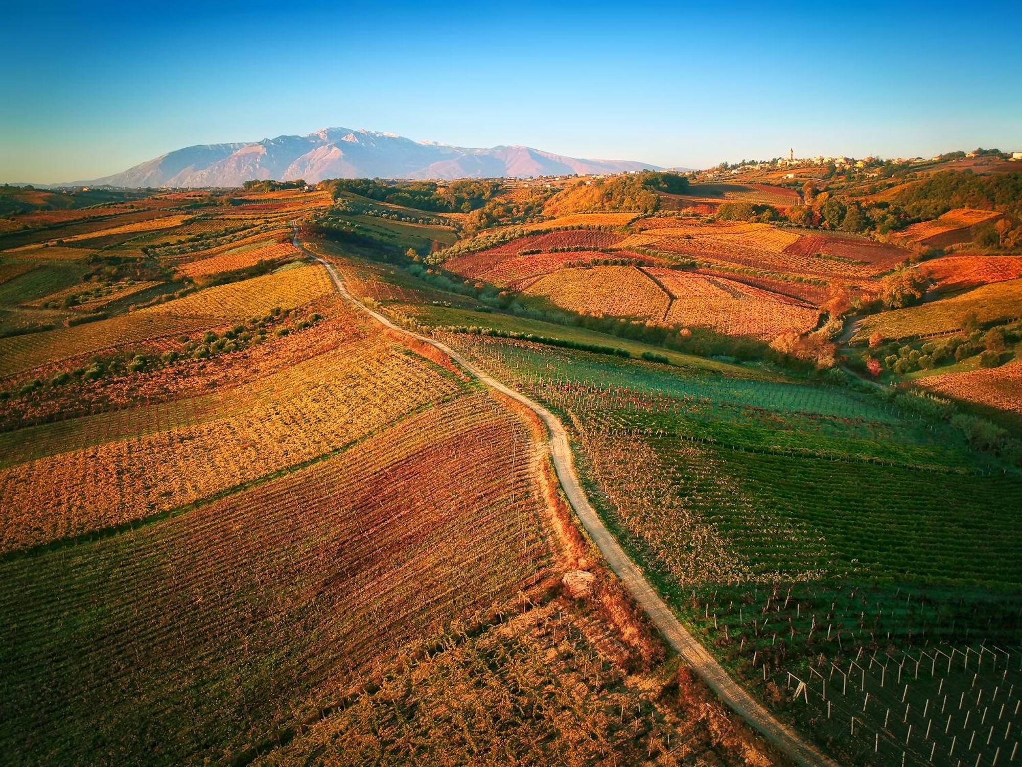 La Casa Del Vino - B&B Tollo ภายนอก รูปภาพ